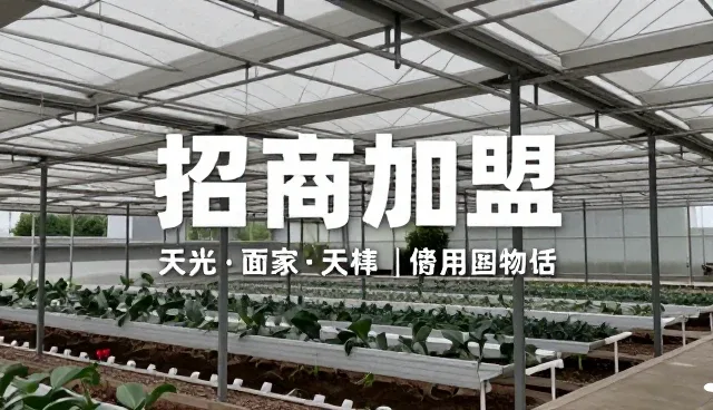 武汉高端网站建设，数据管理如何驱动业务拓展